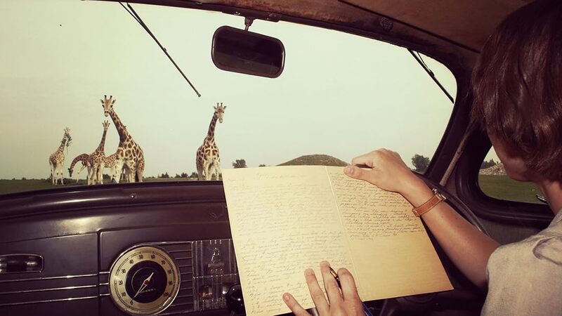 The Woman Who Loves Giraffes -Na.jpg